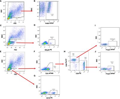 Convergence between helminths and breast cancer: intratumoral injection of the excretory/secretory antigens of the human parasite Toxocara canis (EST) increase lung macro and micro metastasis